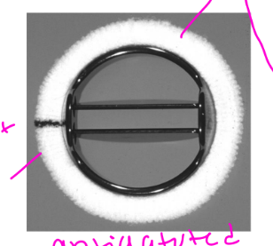 <p>• Durability</p><p>• Hemodynamics</p>