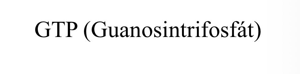 <p>GTP</p>