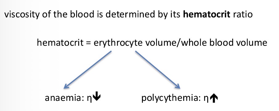 <p>The hematocrit ratio</p><p>Hematocrit = erythrocyte volume/ whole blood volume</p>