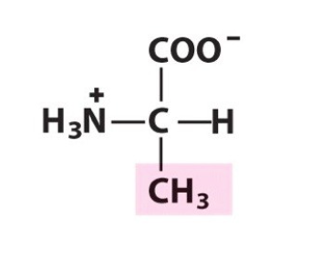 <p>What amino acid is this? </p>