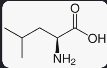 <p>What is this amino acid</p>