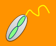 <p>The <span style="color: blue;"><strong>male gamete</strong></span> is ____</p><ul><li><p>Haploid </p></li></ul><p></p>