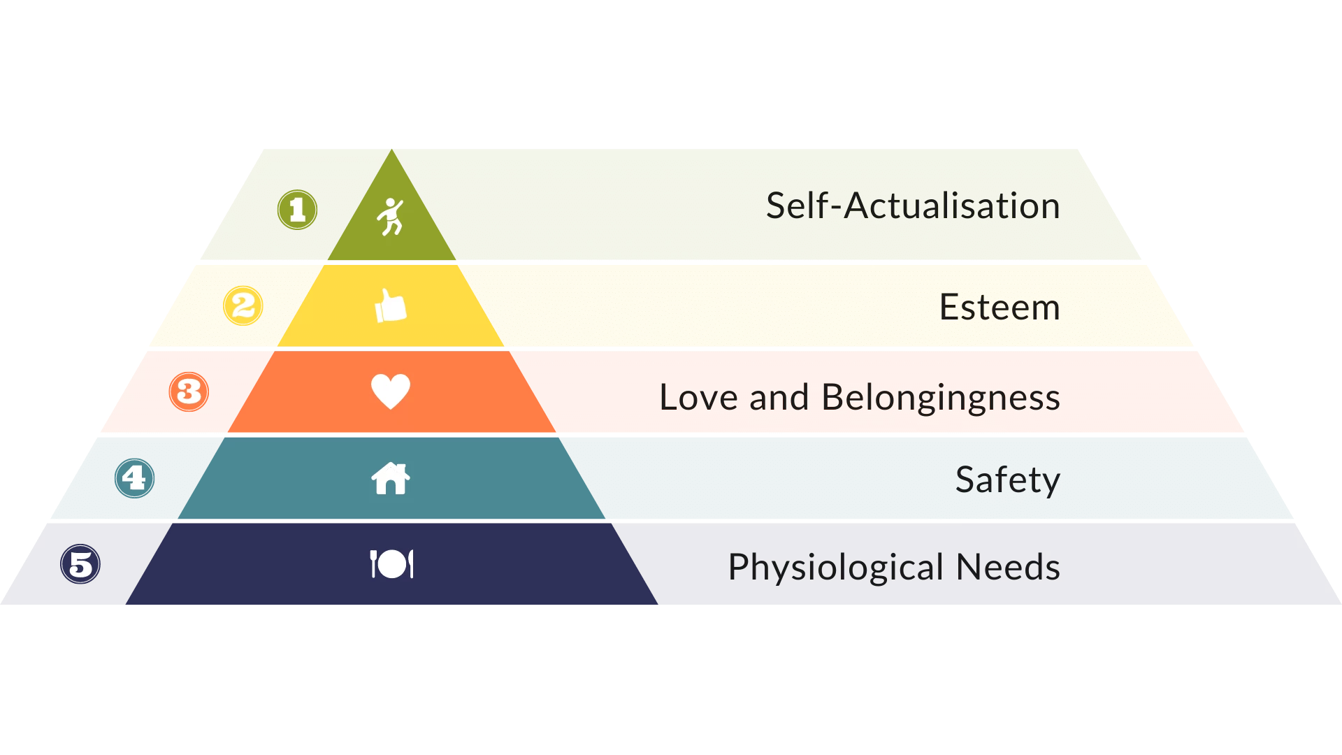 <ul><li><p>physiological</p></li><li><p>safety and security</p></li><li><p>love and belonging</p></li><li><p>self esteem</p></li><li><p>self actualization</p></li></ul><p></p>