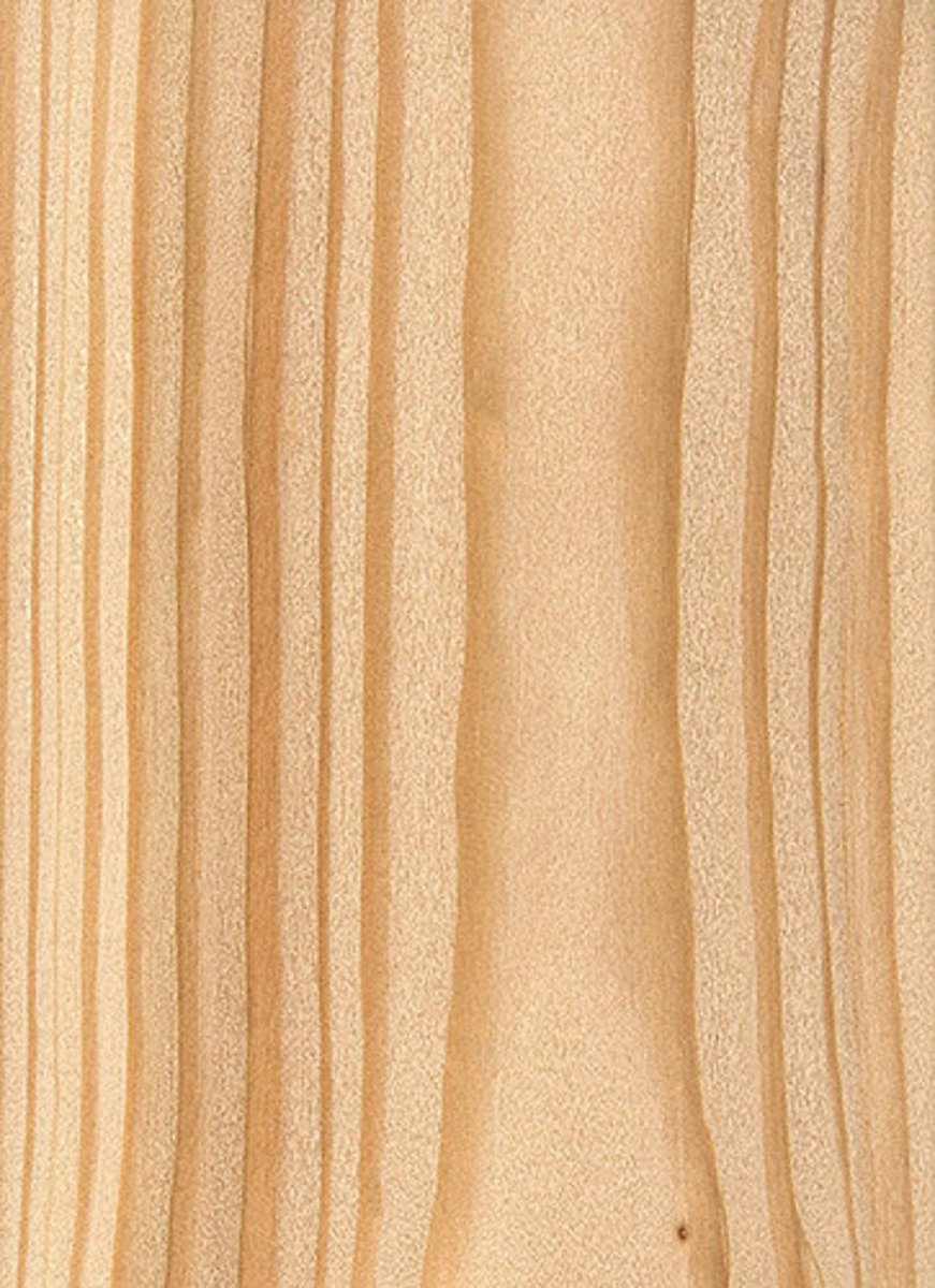 <p>Larch (softwood)</p>