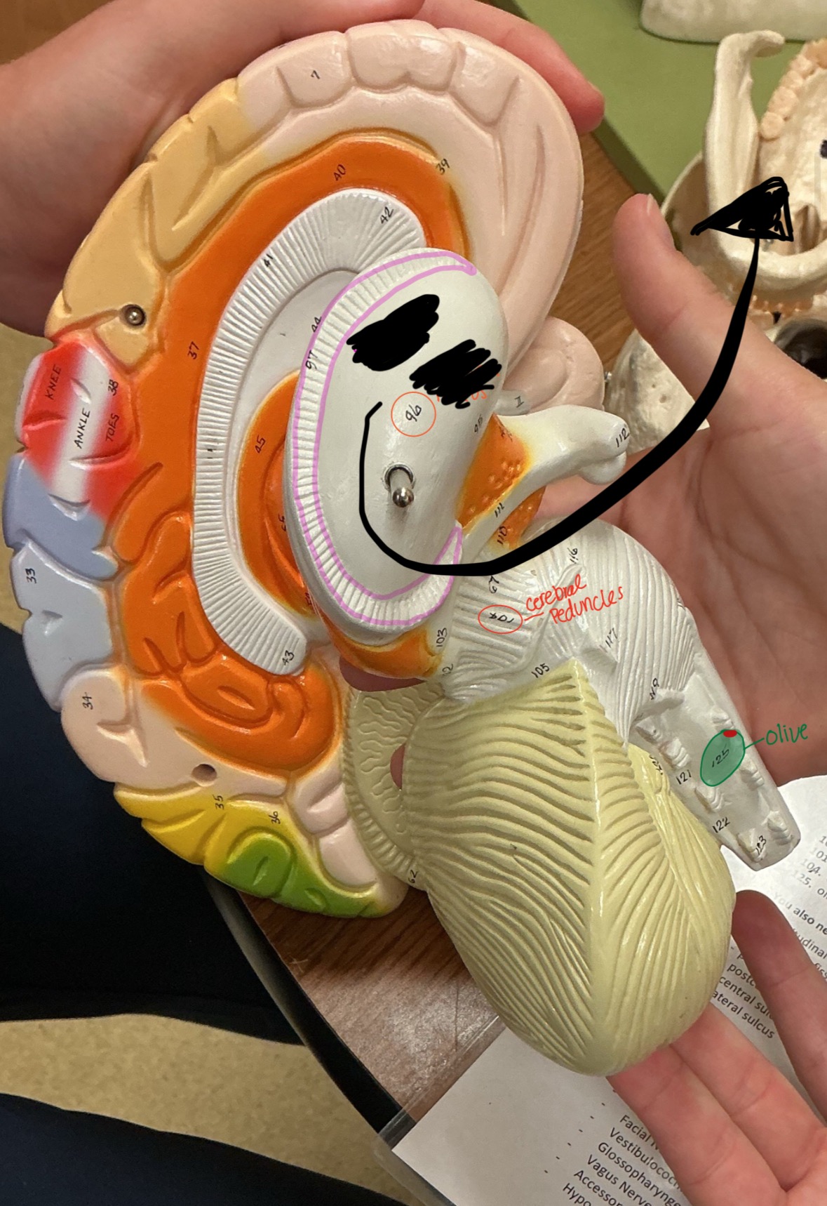 term image