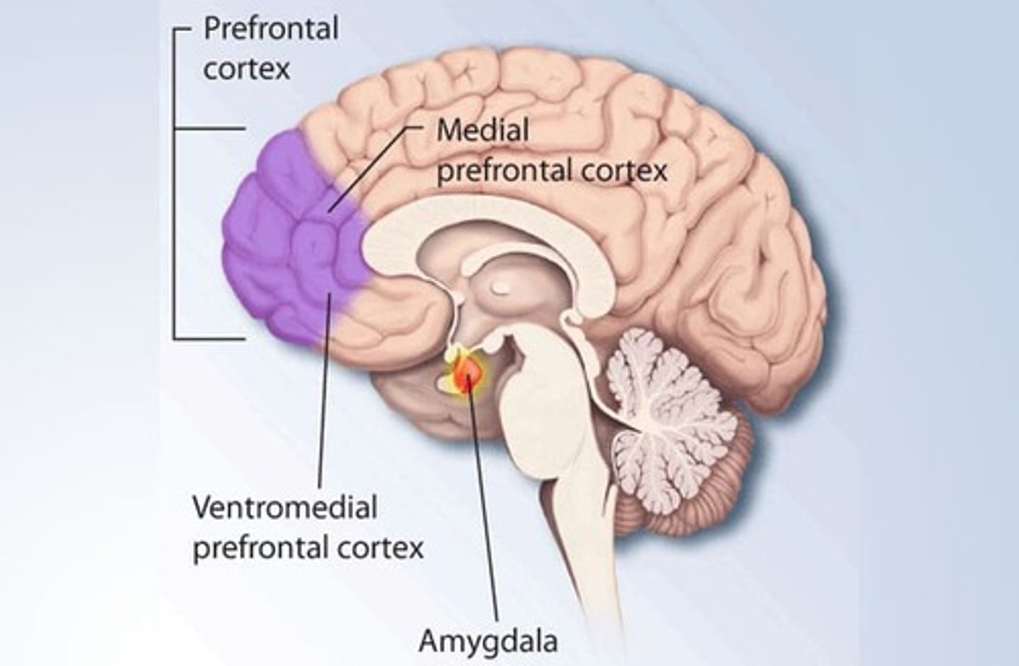 <p>pseudodepression</p>