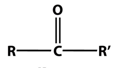 <p>Identify the following functional group:</p>