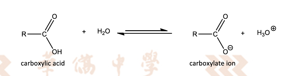 <ul><li><p>O-H bond breaks to give a H<sup>+ </sup>proton and -RCO<sub>2</sub><sup>-</sup> carboxylate ion</p></li><li><p>hence, carboxylic acids are weak(partially dissociates) Bronsted acids(proton donour)</p></li></ul><p></p>