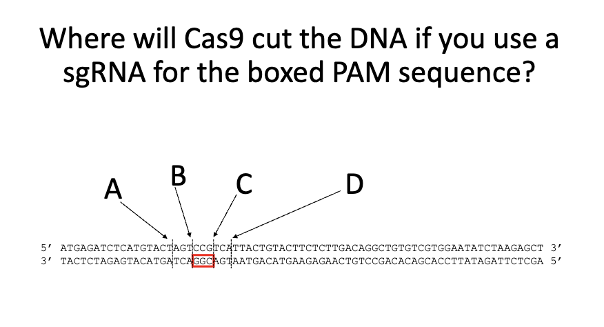 <p>Question</p>