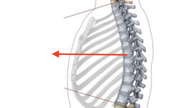 <p>What is this structure?</p>