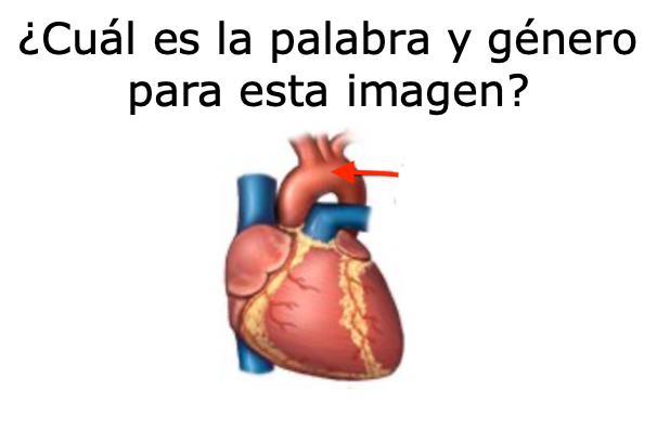term image