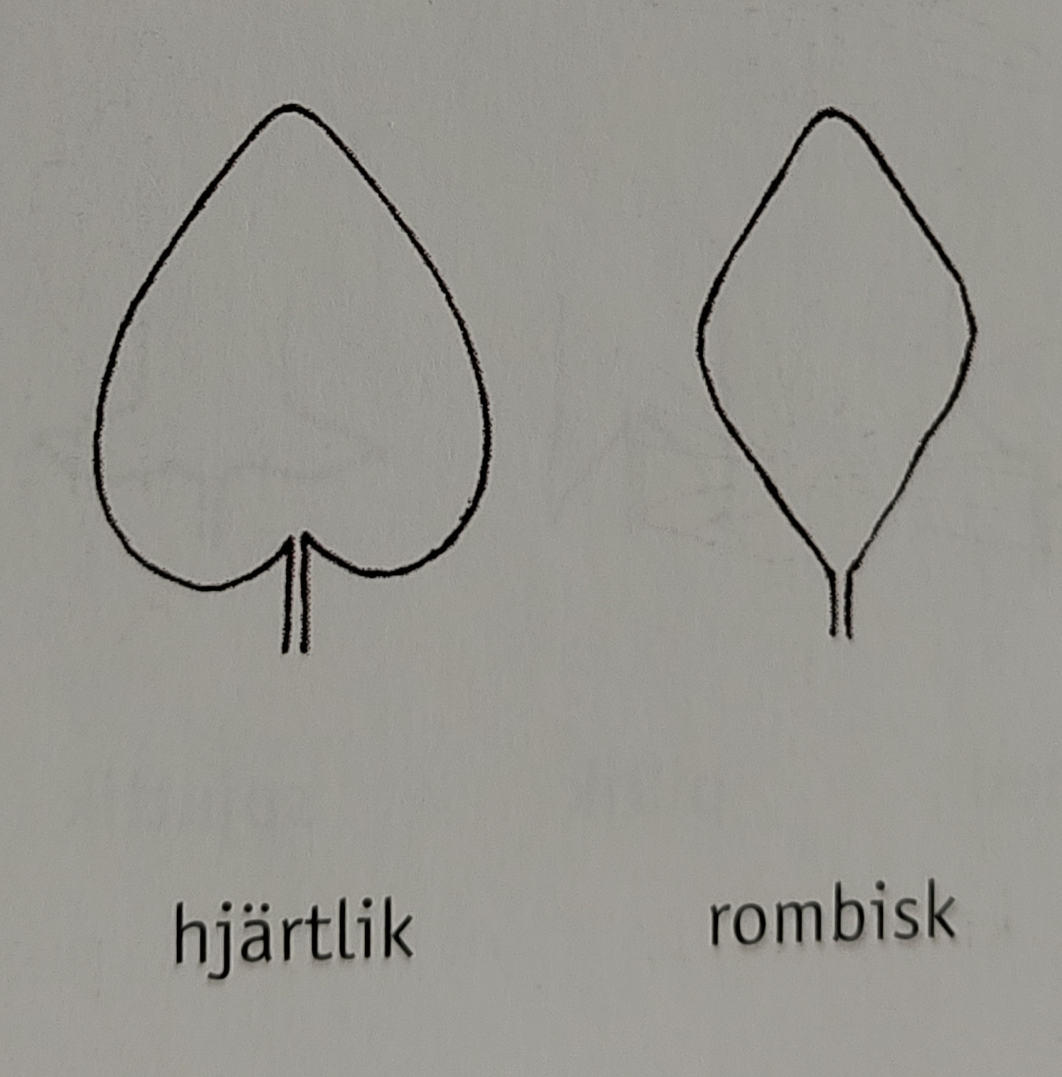 <p></p>