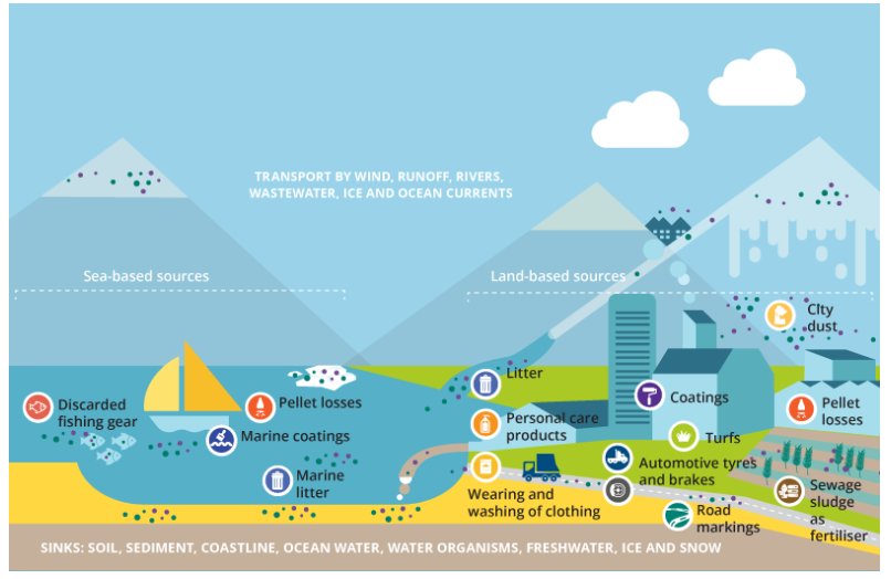 <p>Contact lenses that are flushed in the toilet end up in the main water sources, they further break down into smaller particles and become microplastics</p>
