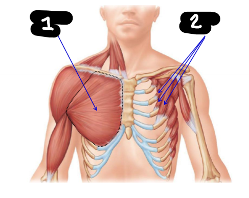 <p>2</p>