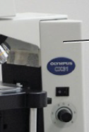 <p>Component that holds the Ocular, Objective, Nosepiece, and or majority of the microscope’s staging components</p>