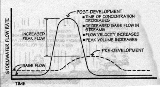 <ul><li><p>natural = takes a while for creek/stream water to rise → runs down vegetation and infiltration → moves through the groundwater system → gradual</p></li><li><p>parking lot →funnels waters at the same time to creek →large spikes &amp; then low → flash floods</p></li></ul><p></p>