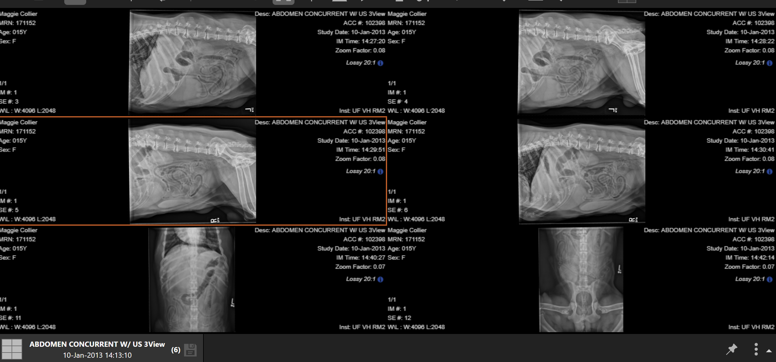 <p>16 YO FN labrador decreased appetite: primary differential for pedunculated hepatic mass is what, such as what (M N, H C)</p>