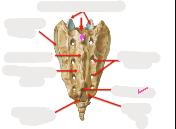 <p>What’s this? </p>