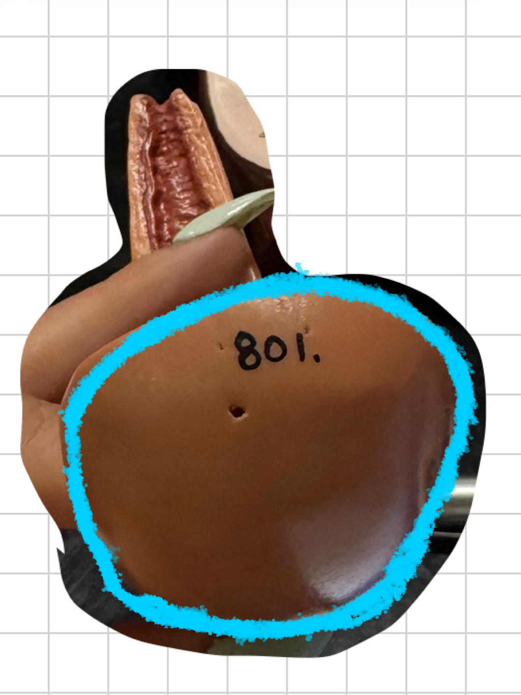 term image