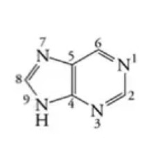 <p>Is this a purine or pyrimidine group?</p>