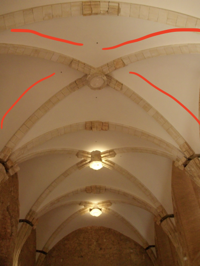 <p><span><strong>Les nervures</strong></span></p>