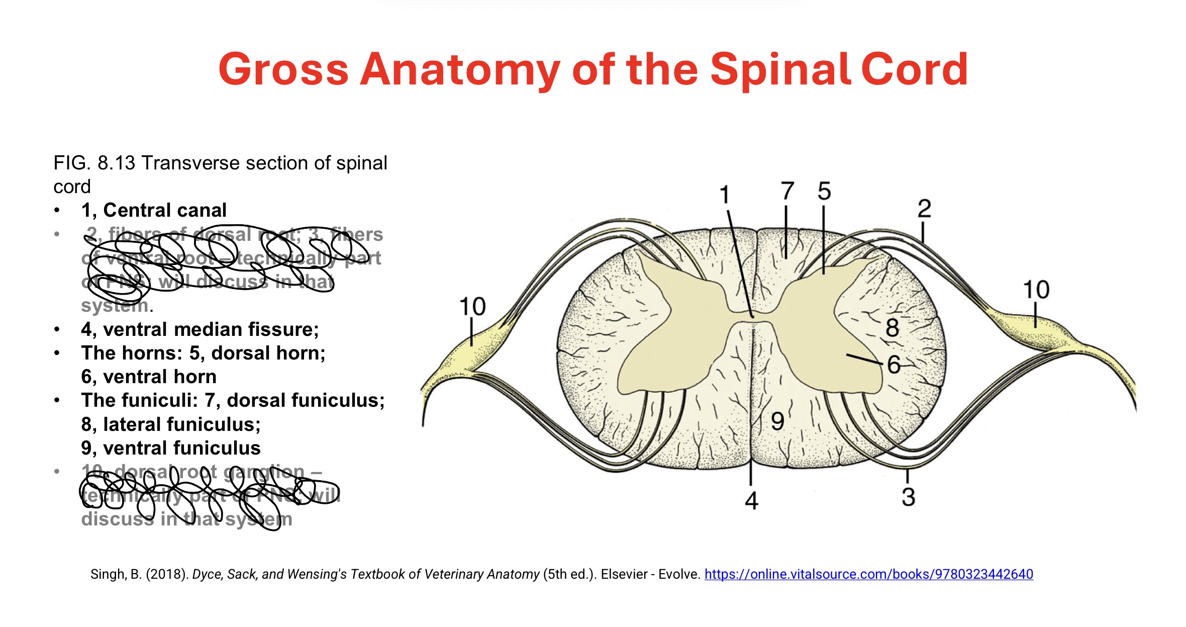 knowt flashcard image