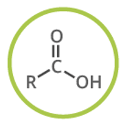 <p>(-oic acid), carbonyl compound, ex. ethanoic acid</p>