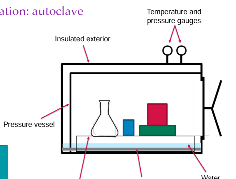 <ul><li><p>moist heat</p></li><li><p>15 min 121 degrees</p></li><li><p>only way to get rid of endospores effectively</p></li></ul><p></p>