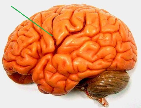 <p></p>