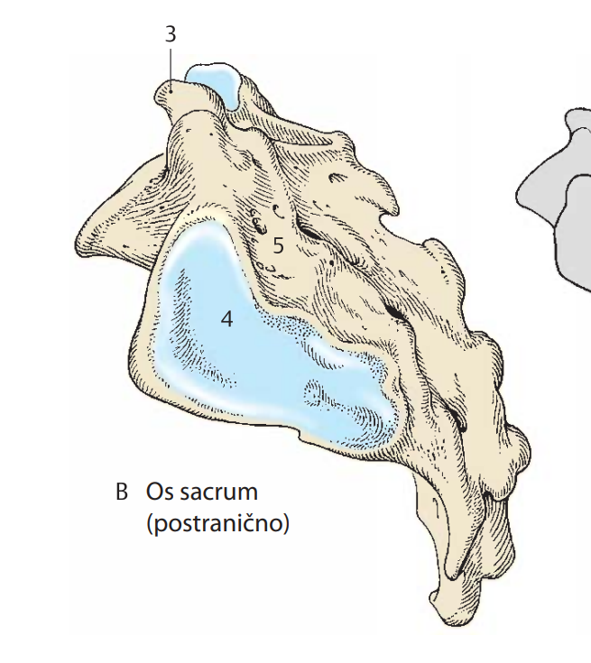 <p>4</p>