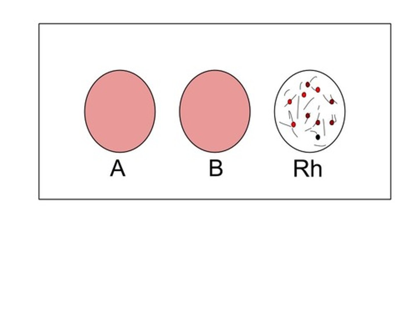 <p>O+</p>