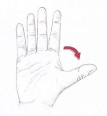 <p>identify the action</p>
