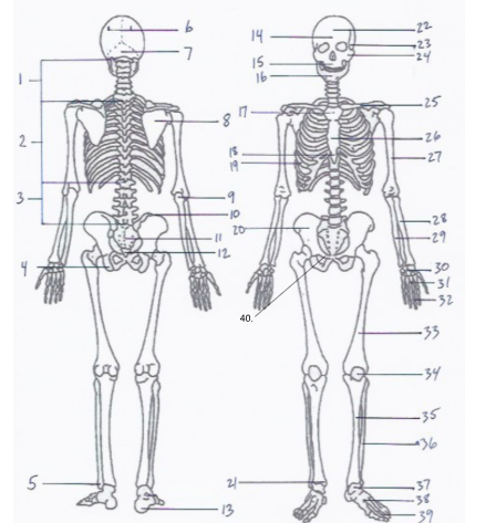 <p>what is 34?</p>