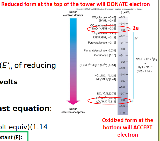 <p>e- move from donors at the <strong>top </strong>of the list to acceptors at the <strong>bottom </strong>of the list.</p><ul><li><p>rule #1 of redox rxns</p></li></ul><p></p>