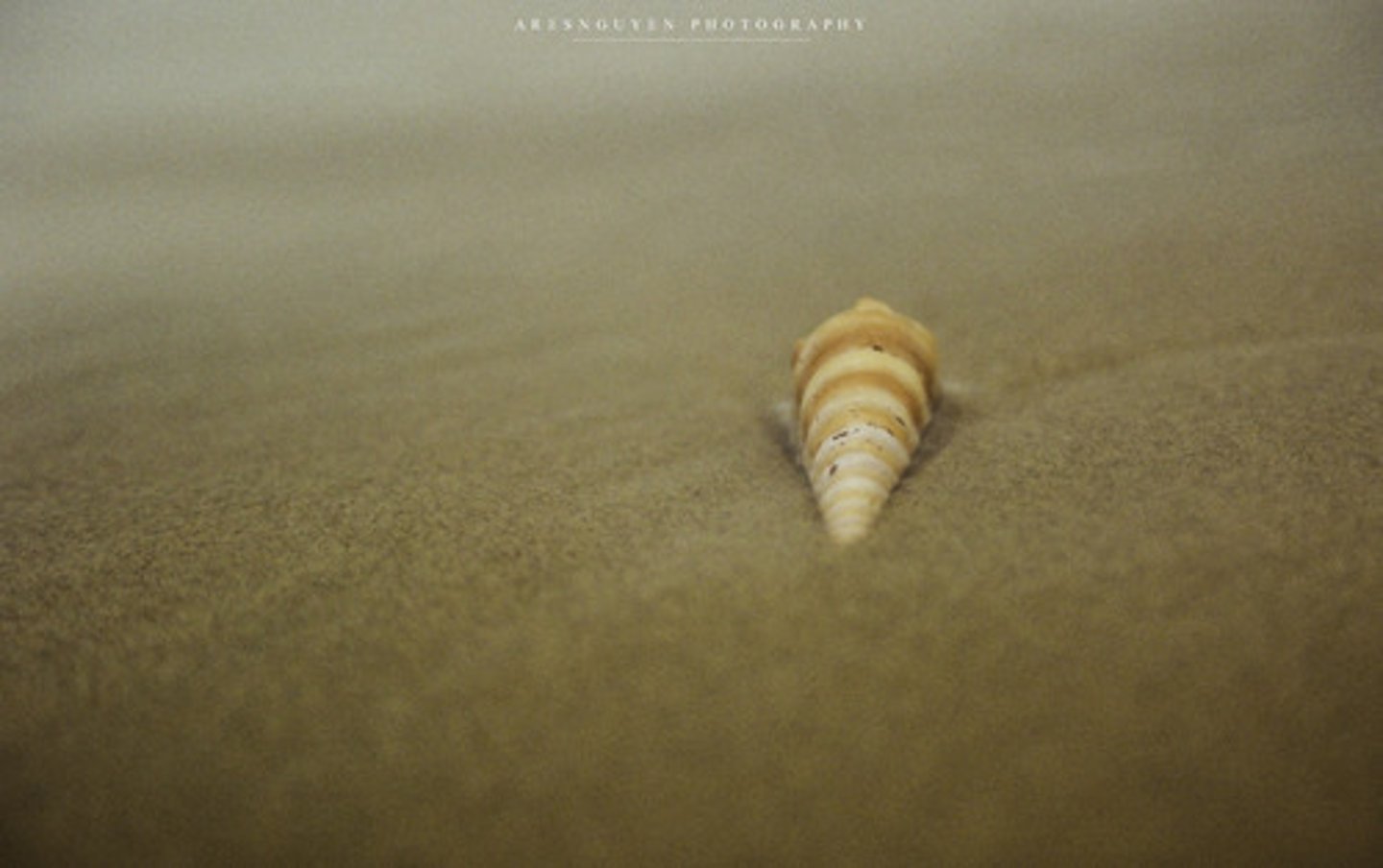<p>alone</p>