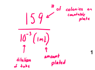 <p>Remember the exponent rule only works with dilution using factors of 10!</p>