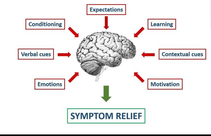 <ul><li><p>an example of a nonspecific effect</p><ul><li><p>has both therapeutic and side effects</p></li></ul></li></ul><p></p>
