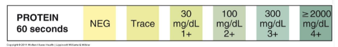 <ul><li><p>detects ALBUMIN only </p></li><li><p>pad principle: </p><ul><li><p>based on “protein error of indicators”</p></li><li><p>point of color change of some pH indicators is different in presence of protein from that observed in absence of protein </p></li></ul></li><li><p>TETRABROMPHENOL BLUE - most common indicator </p><ul><li><p>no protein = buffered at pH 3 = yellow</p></li><li><p>protein = H+ acceptor </p></li><li><p>presence of protein = error occurs in behavior of indicator = color changes to blue/green</p></li></ul></li></ul><p></p>