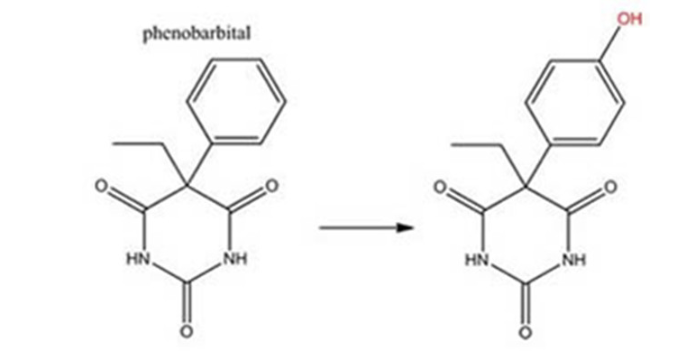 <p>Phenobarbital</p>