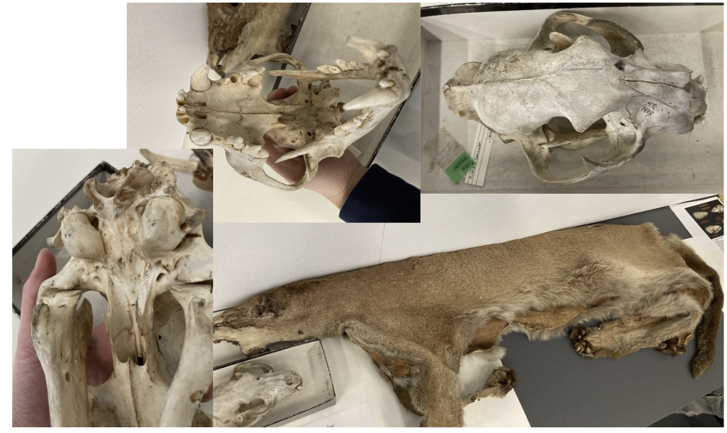 <p>What is this?</p>