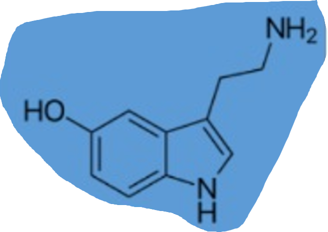 <p></p>