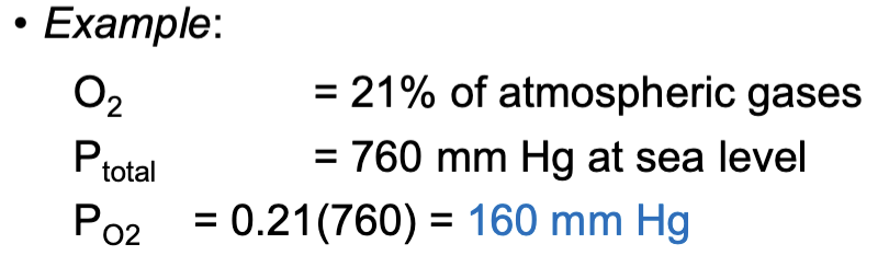 <p>the partial pressure of an individual gas can by calculated by multiplying the fractional concentration of a gas by the total air pressure</p>