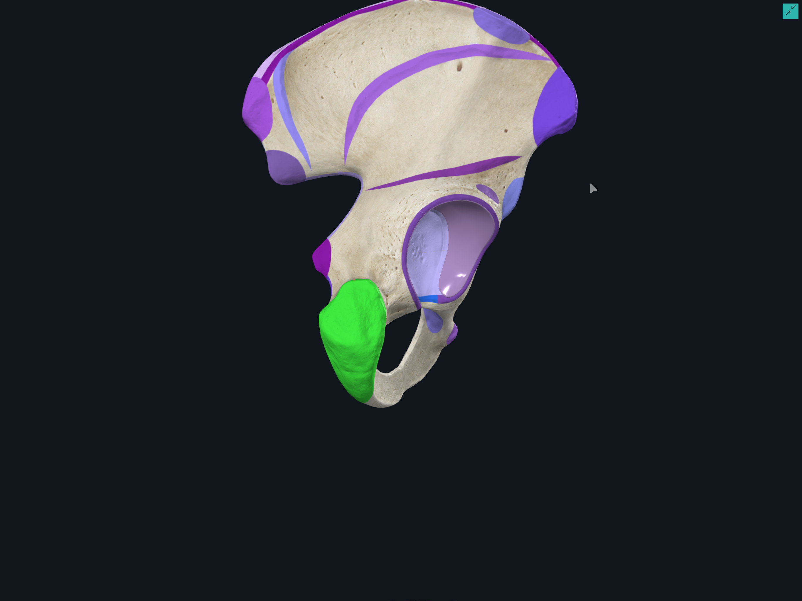 <p>¿Qué es esto?</p>