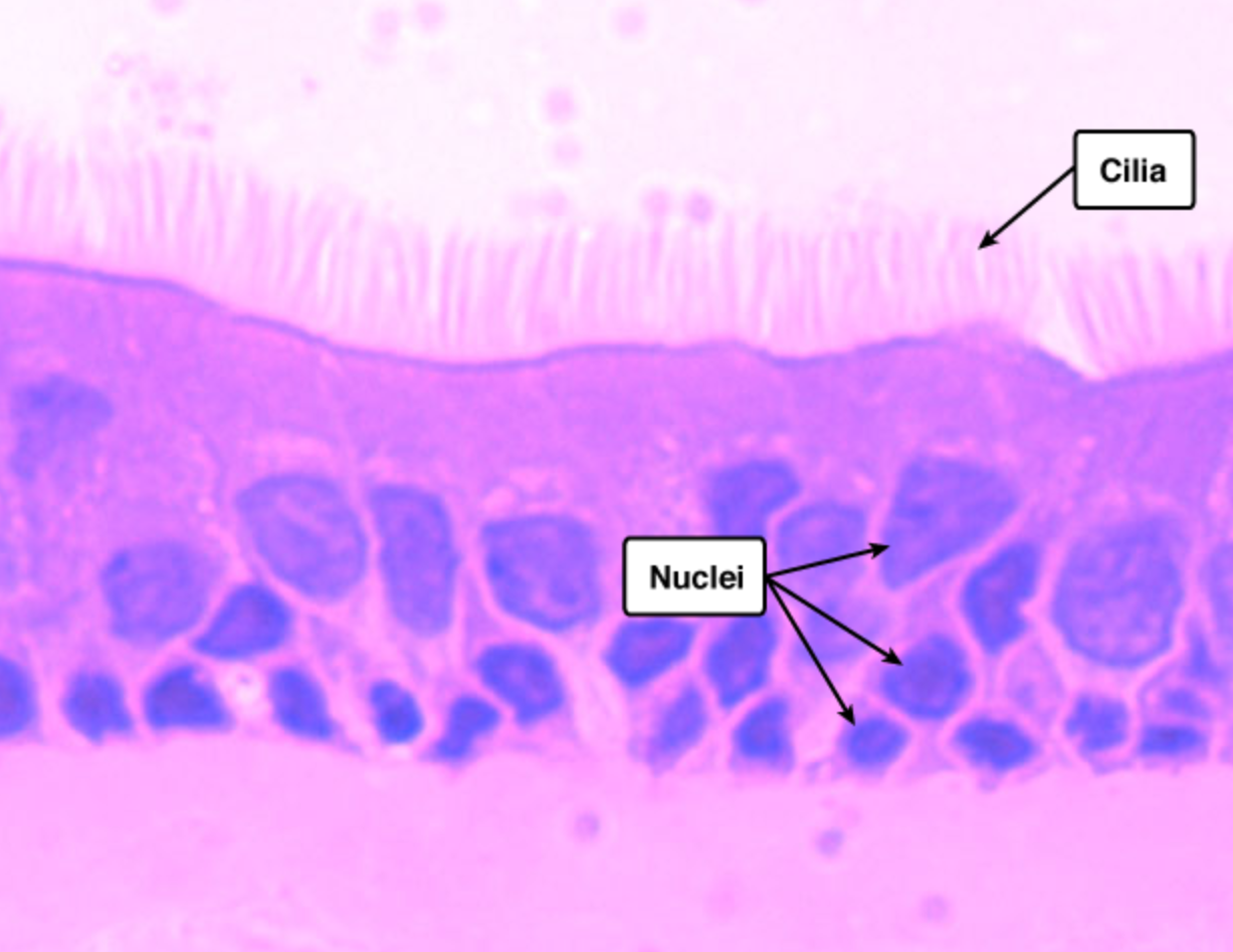 <p>what is this </p>