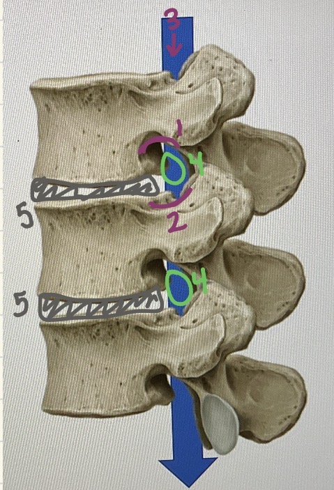 <p>1</p>