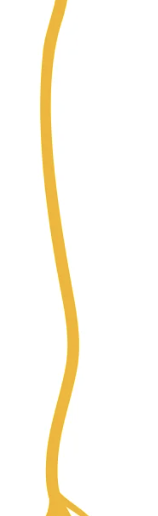 <p>Axon</p>