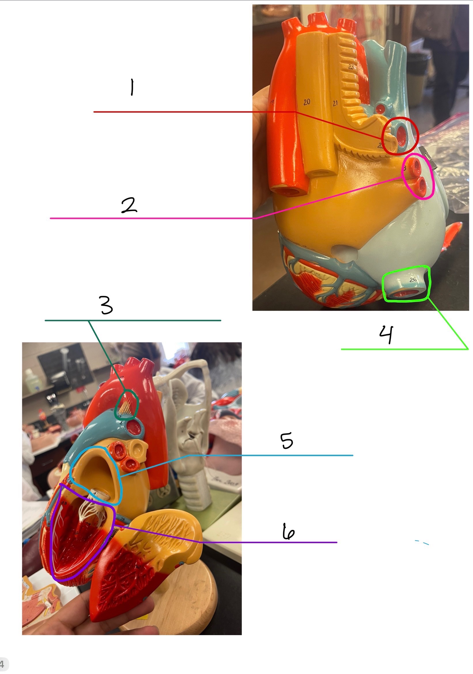 <p>1</p>