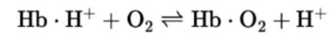 <p>they become more acidic and release H+</p>