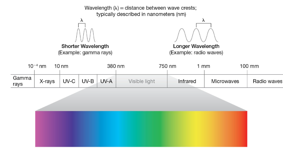 <p>315-400 nm</p><p>280-315 nm</p><p>100-280 nm</p>
