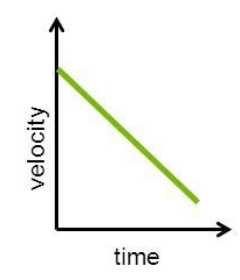 <p>This graph tells us that the object’s velocity and time in a uniformly accelerated motion is _________</p>